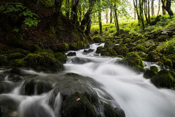 Bellissimo ruscello in movimento sfocato — Foto Stock