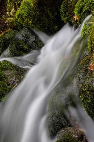 Schöner Strom in Bewegung verschwimmt — Stockfoto