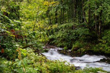 güzel akışı Hareket Bulanıklığı