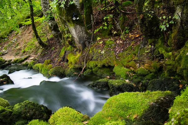 Bellissimo ruscello in movimento sfocato — Foto Stock