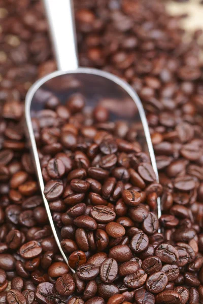 Coffee beans in scoop — Stock Photo, Image