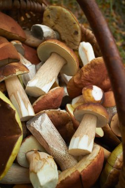 hasır sepet içinde mantar