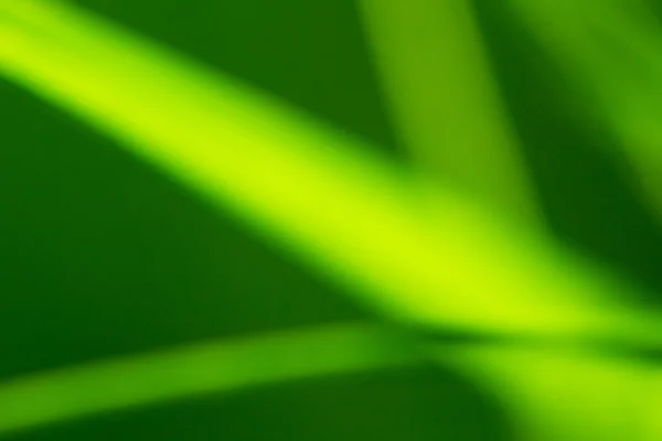 Färgglada grönt gräs — Stockfoto