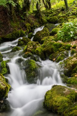 güzel akışı Hareket Bulanıklığı