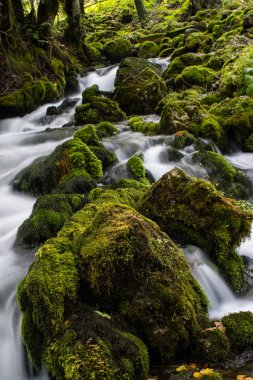 güzel akışı Hareket Bulanıklığı