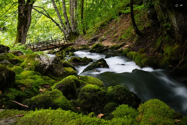 Beautiful stream in motion blur — Stock Photo, Image