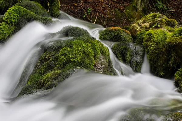 Schöner Strom in Bewegung verschwimmt — Stockfoto