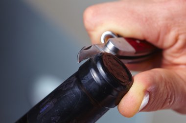 adam açılış şarap