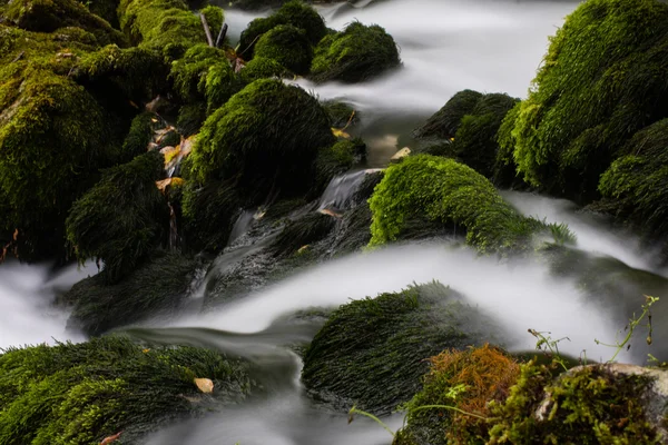 Schöner Strom in Bewegung verschwimmt — Stockfoto