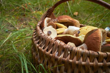 hasır sepet içinde mantar