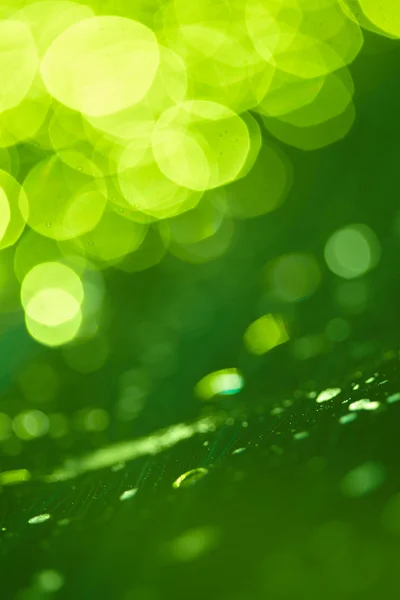 Abstrakte Glänzende Grüne Bokeh Hintergrund — Stockfoto