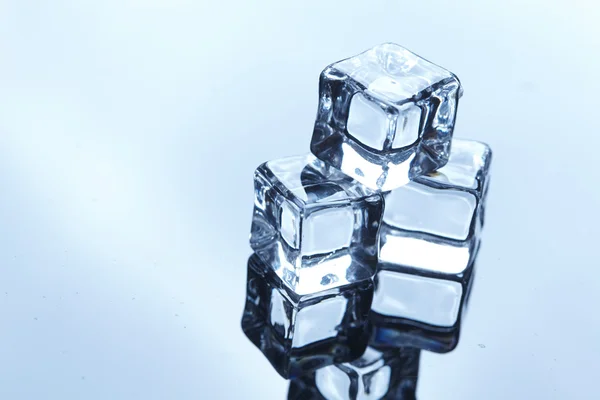 Islak buz küpleri — Stok fotoğraf