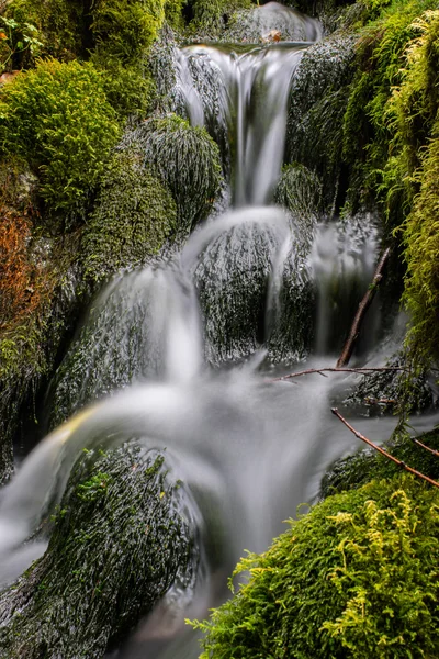 Bach im Wald köchelt — Stockfoto