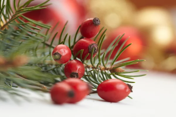 Tannenzweig Mit Roten Beeren Dekorationskonzept Für Weihnachten — Stockfoto