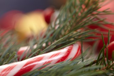Noel ağacı dalları dekorasyon ile yakın çekim