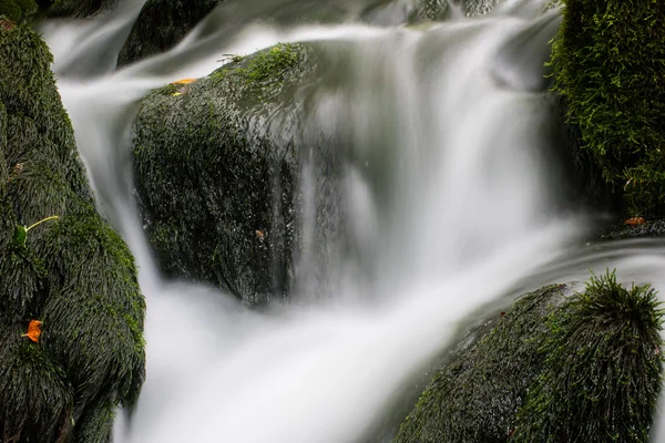 美丽的冷流流经苔藓覆盖的石头 — 图库照片