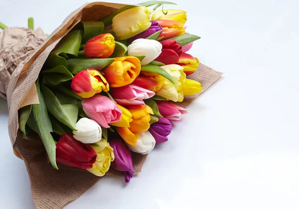Bukiet Ładne Tulipany Pojedyncze Białym Tle Zbliżenie — Zdjęcie stockowe