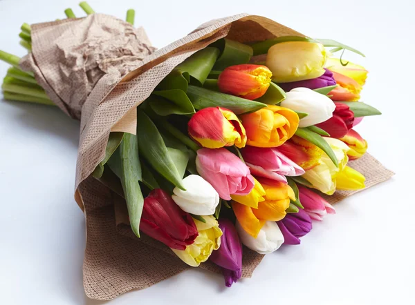 Ładne tulipany na biały — Zdjęcie stockowe