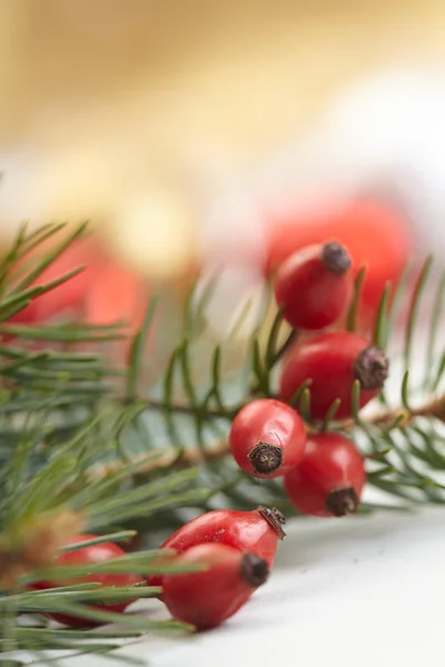 Weihnachtsbaumzweige Mit Beeren Nahaufnahme — Stockfoto