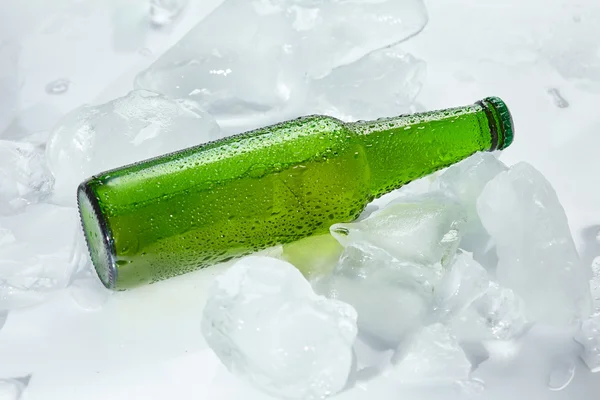 Garrafa de cerveja no gelo — Fotografia de Stock