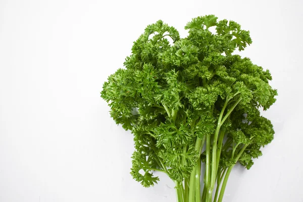 Fresh green parsley — Stock Photo, Image