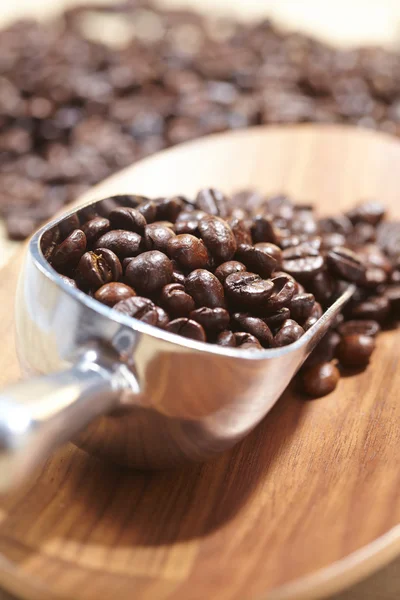 Granos de café en cuchara — Foto de Stock