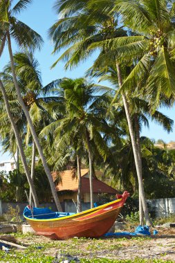 tekne ile tropikal plaj