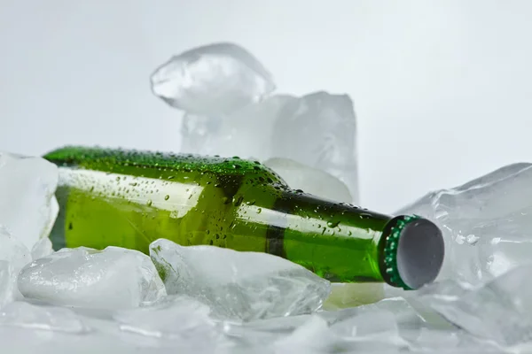 Botella de cerveza en hielo —  Fotos de Stock