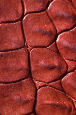 timsah desenli arka plan