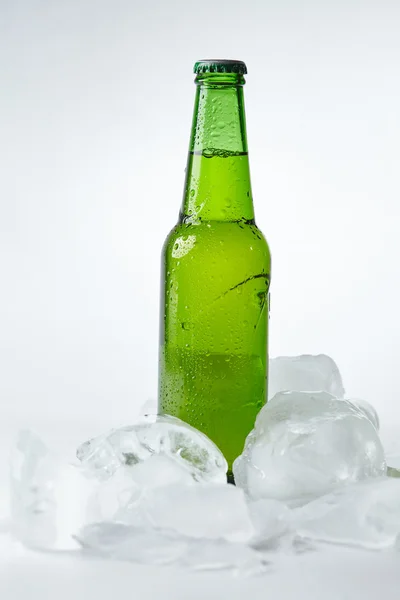 얼음에 맥주 병 — 스톡 사진