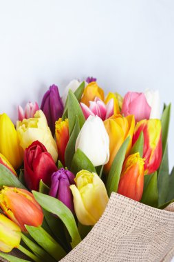 güzel Lale buketi