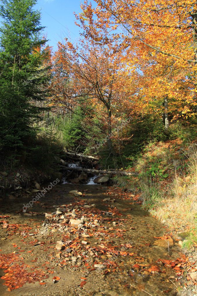 Stream In Autumn Forest Stock Photo Kishano 58107963