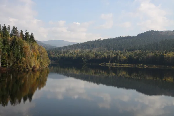 水と秋の森 — ストック写真
