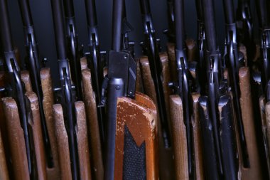 Eğitim birçok pnömatik havalı tüfek