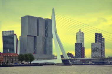 Rotterdam, Hollanda - 18 Ağustos: Rotterdam şehir modu olduğunu