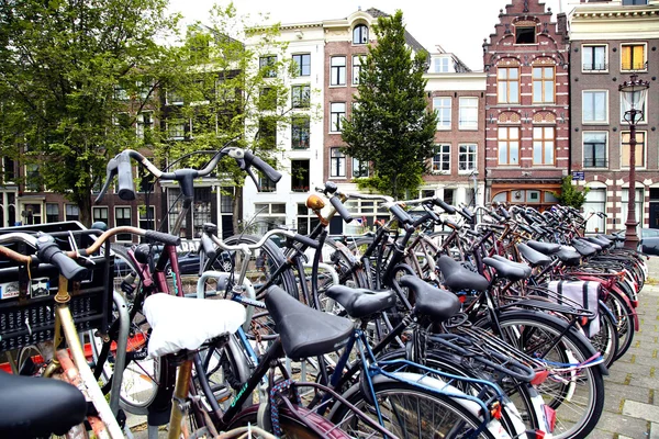 Amsterdam Nederland-16 augustus; 2015: veel fietsen p — Stockfoto