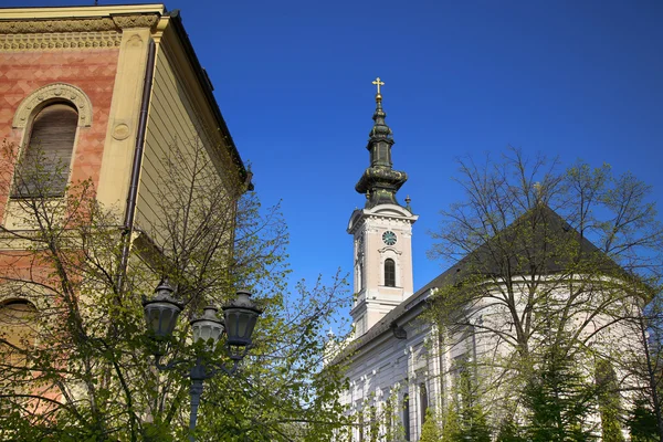 Domkyrkan kyrkan av den heliga Great-Martyr George i Novi Sad, Se — Stockfoto