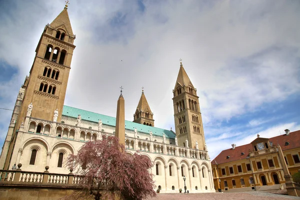 Basiliek van St. Peter & St. Paul, Pecs kathedraal in Hongarije — Stockfoto
