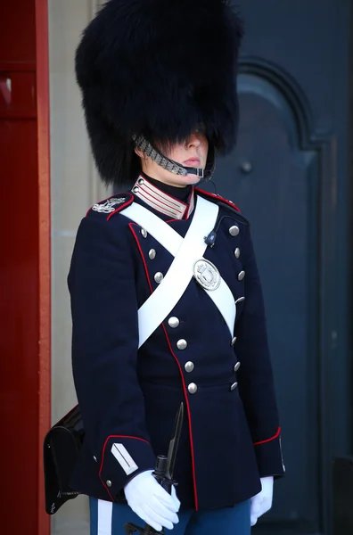 COPENHAGEN, DINAMARCA - 15 de agosto de 2016: Guardia Real Danesa o —  Fotos de Stock