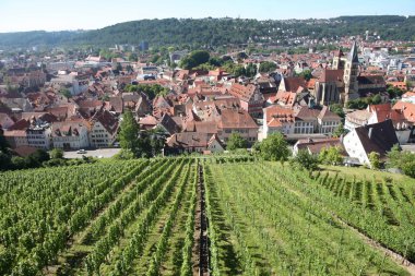 Esslingen değilim Castle Burg Stuttgart, Baden yakınındaki Neckar görüntüler