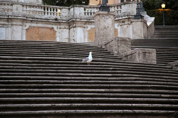 Ισπανική πλατεία με Ισπανικά Σκαλιά στη Ρώμη Ιταλία — Φωτογραφία Αρχείου