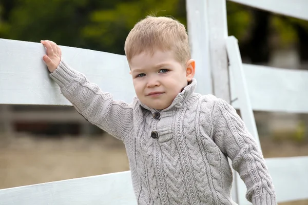 Niño de 2 años en la cerca de un piquete blanco al lado de los cuernos —  Fotos de Stock