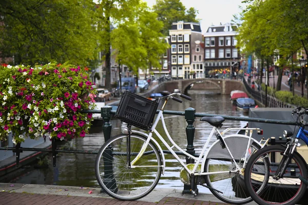 Amsterdam, Nederland — Stockfoto