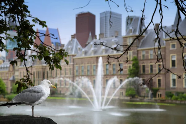 Binnenhof Palace, Dutch Parlament in the Hague, Netherlands — Stock Photo, Image