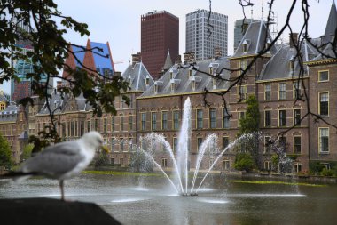 Binnenhof Palace, Hollandalı Parlament Lahey, Hollanda