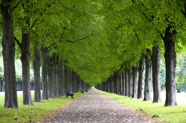 Sonbahar manzara, Herrenhauser Allee Hannover, Almanya