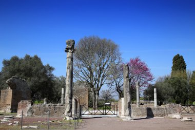 Ancient ruins of Villa Adriana ( The Hadrian's Villa ), Quadripo