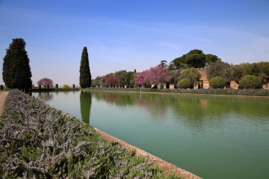 Villa Adriana (Hadrian'ın Villa), Pecile antik kalıntıları, 
