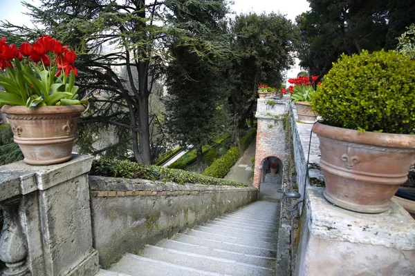 Villa d'Este fontána a zahrada v Tivoli poblíž Roma, Itálie — Stock fotografie