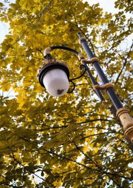 Arka planda sokak lambaları ve ağaç yaprakları 